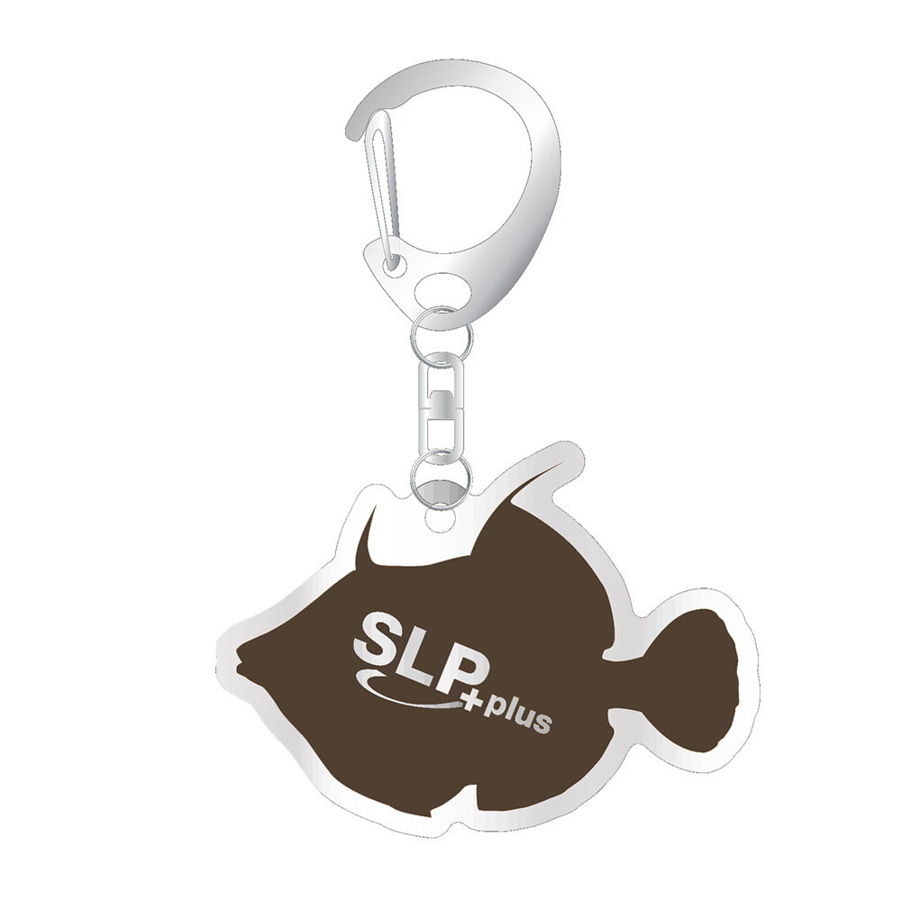おすすめ - SLP PLUS